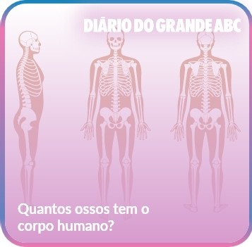 quantos-ossos-tem-o-corpo-humano